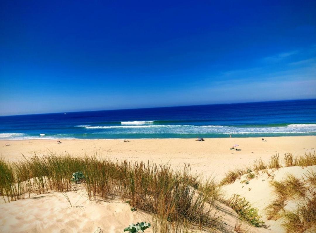 L'Ocean&Dunes Vue A 180° En Bord De Plage Lacanau Esterno foto