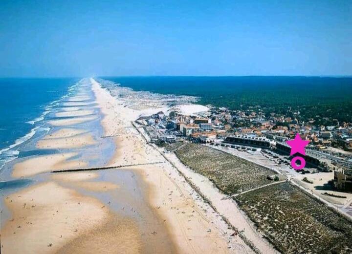 L'Ocean&Dunes Vue A 180° En Bord De Plage Lacanau Esterno foto