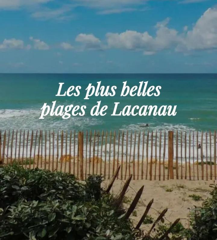 L'Ocean&Dunes Vue A 180° En Bord De Plage Lacanau Esterno foto